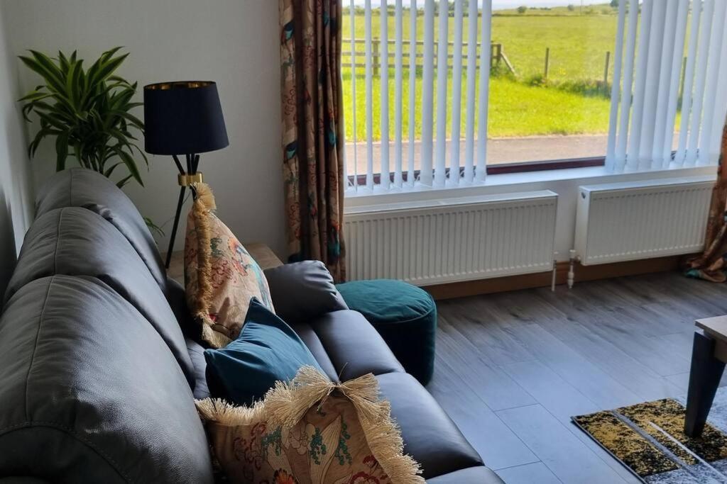 Grace'S Place With Hot Tub & Games Room Carrickfergus Eksteriør billede